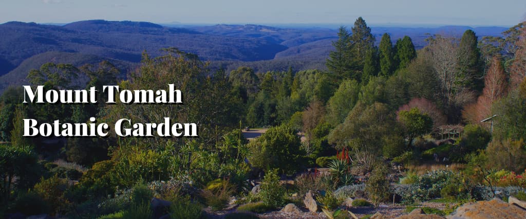 Mount Tomah Botanic Garden