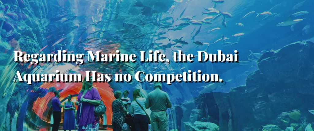 Regarding Marine Life, the Dubai Aquarium Has no Competition.