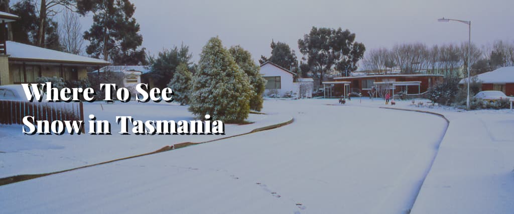 Where To See Snow in Tasmania