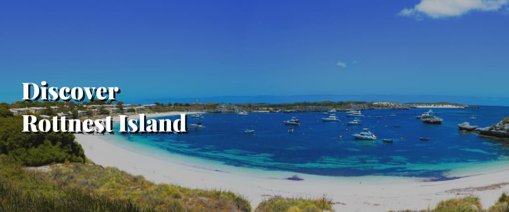 Discover Rottnest Island