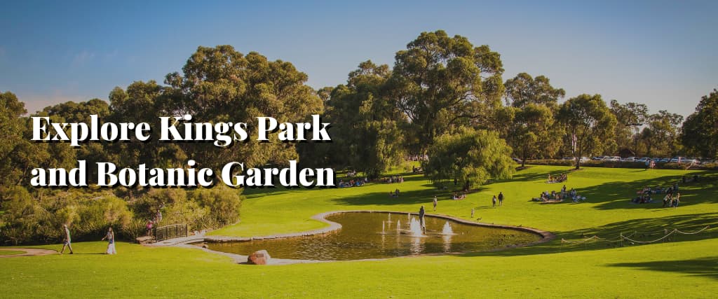 Explore Kings Park and Botanic Garden