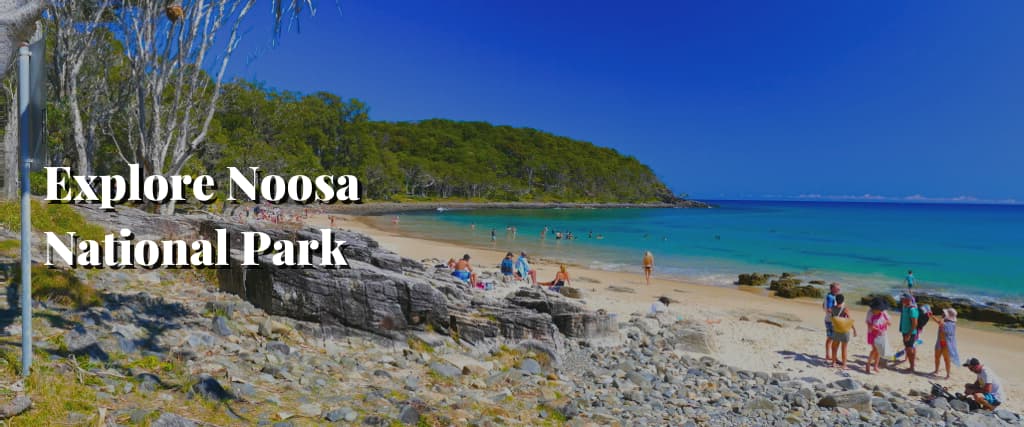 Explore Noosa National Park