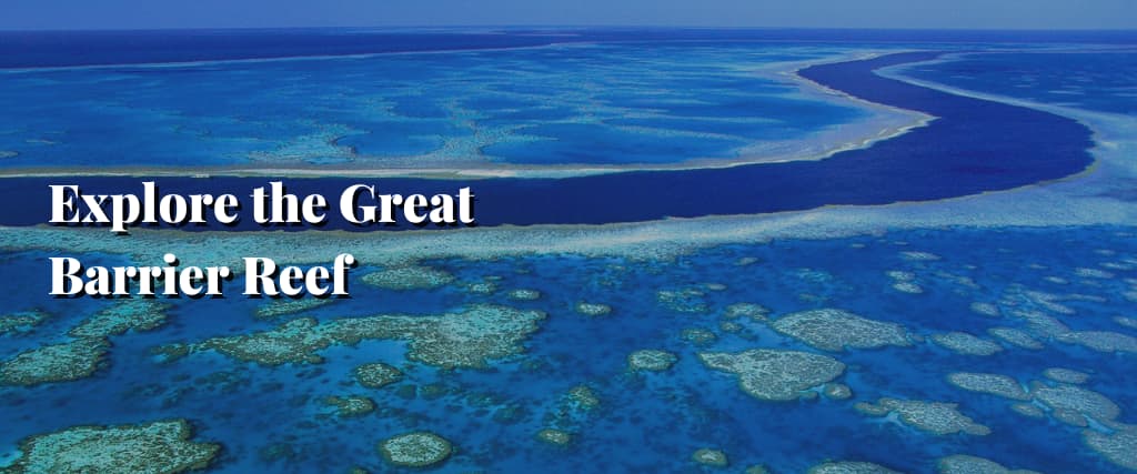 Explore the Great Barrier Reef