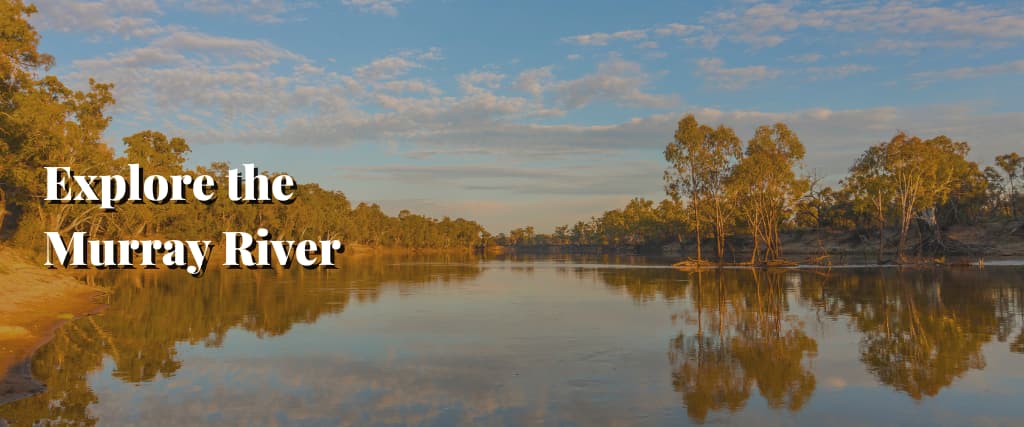 Explore the Murray River