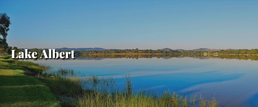 Lake Albert