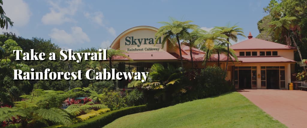 Take a Skyrail Rainforest Cableway