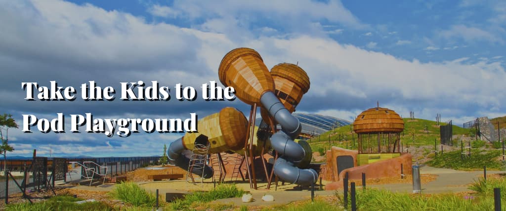 Take the Kids to the Pod Playground