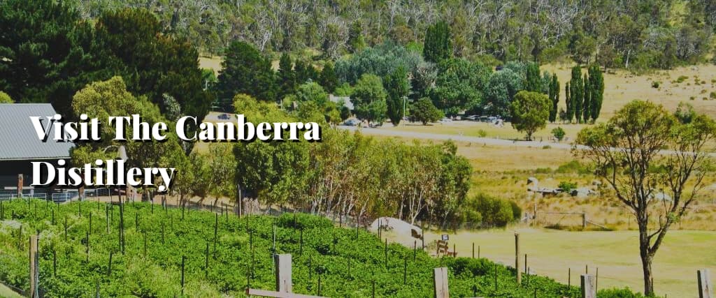 Visit The Canberra Distillery