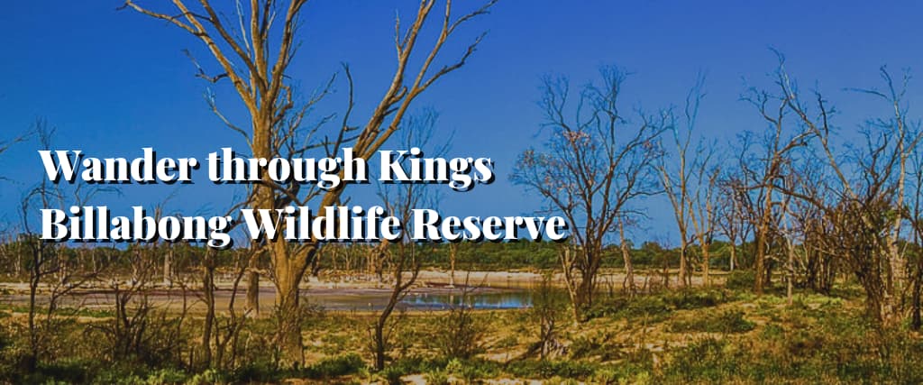 Wander through Kings Billabong Wildlife Reserve