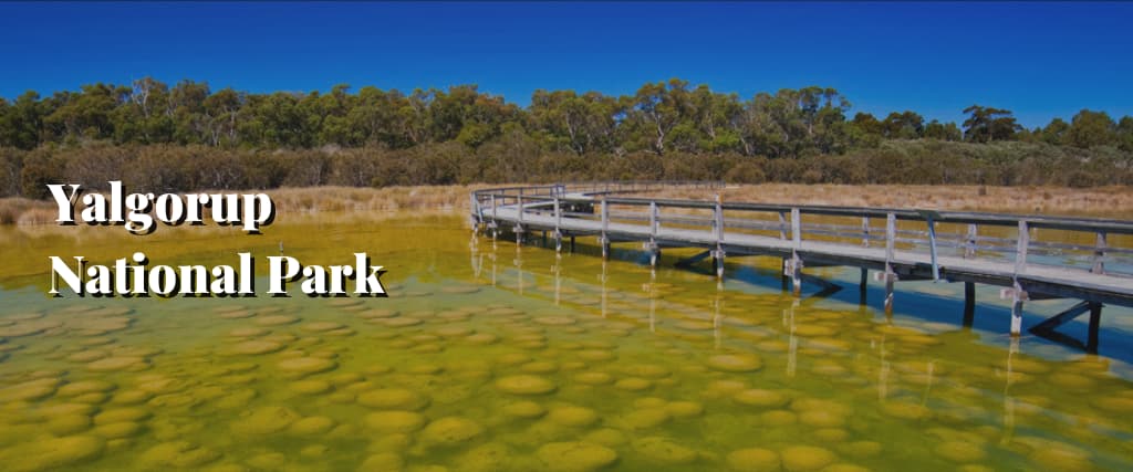 Yalgorup National Park