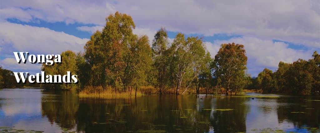 4. Wonga Wetlands