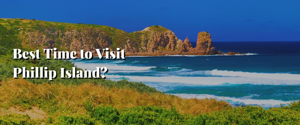 Best Time to Visit Phillip Island