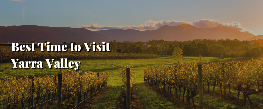 Best Time to Visit Yarra Valley