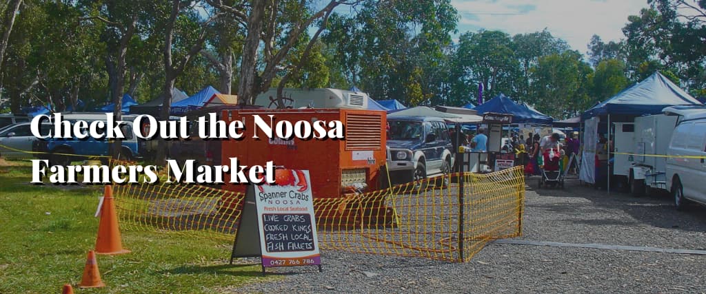 Check Out the Noosa Farmers Market