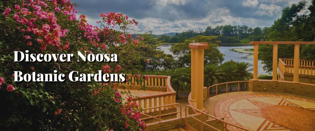 Discover Noosa Botanic Gardens