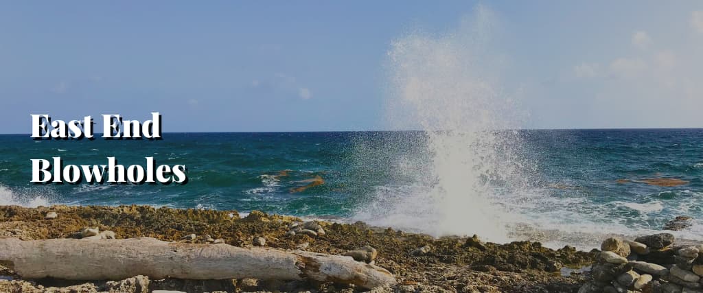 East End Blowholes