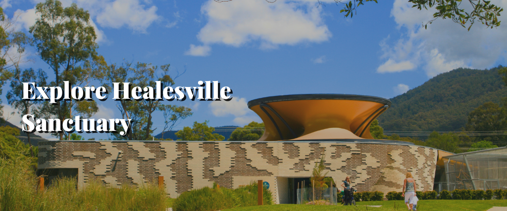 Explore Healesville Sanctuary