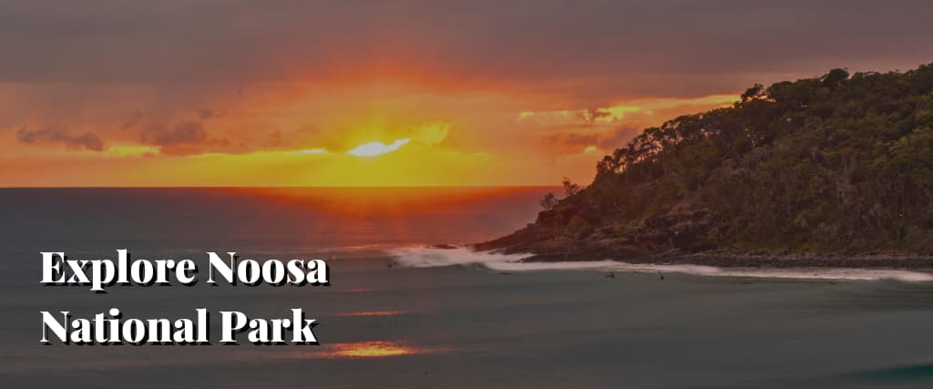 Explore Noosa National Park2