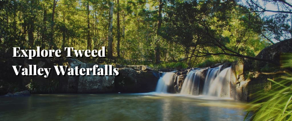 Explore Tweed Valley Waterfalls