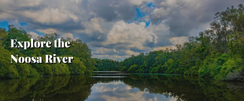 Explore the Noosa River