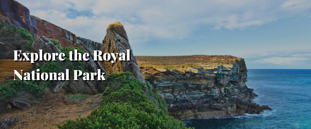 Explore the Royal National Park