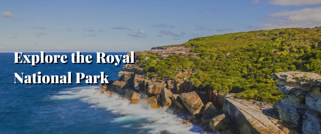 Explore the Royal National Park1