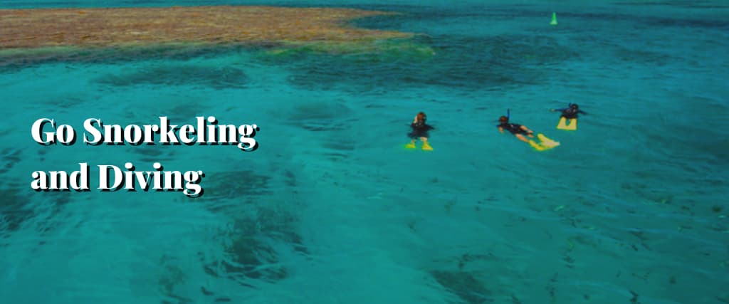 Go Snorkeling and Diving