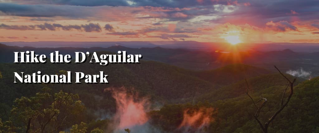 Hike the D’Aguilar National Park