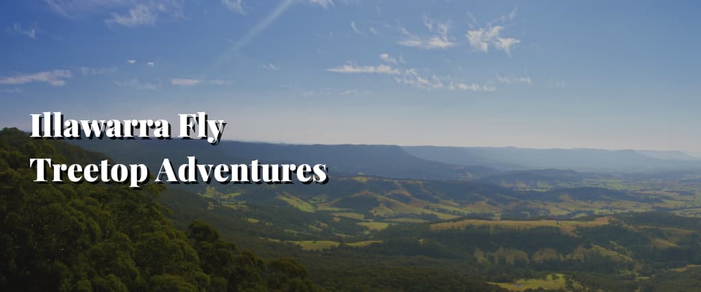 Illawarra Fly Treetop Adventures