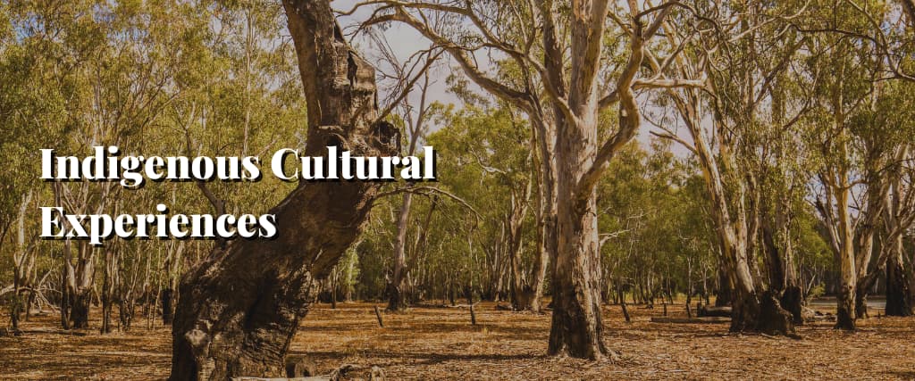 Indigenous Cultural Experiences