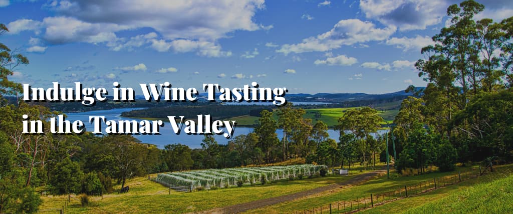 Indulge in Wine Tasting in the Tamar Valley