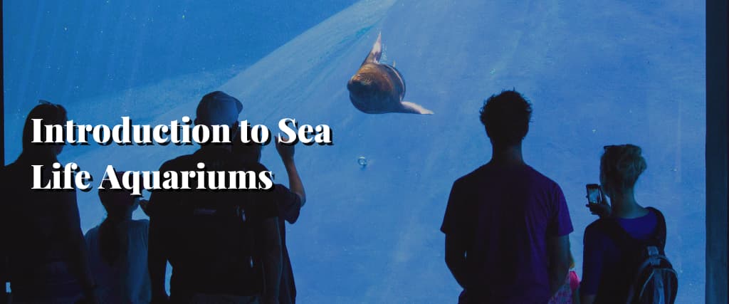 Introduction to Sea Life Aquariums