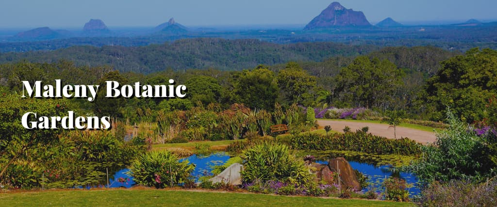 Maleny Botanic Gardens