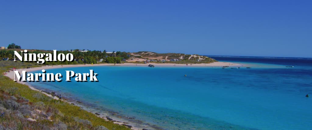 Ningaloo Marine Park