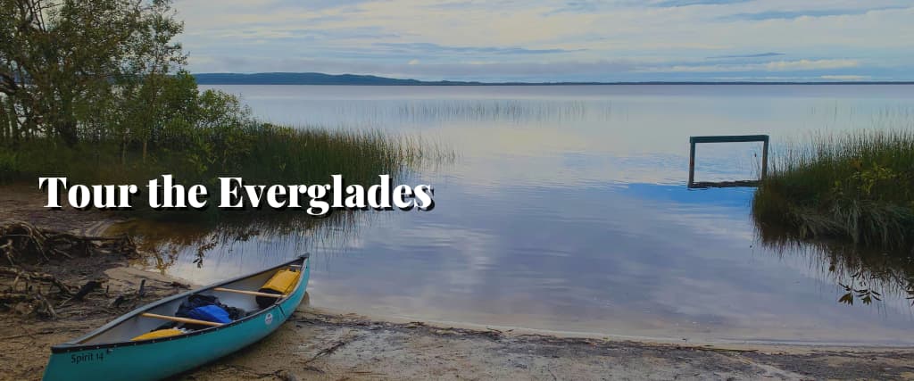 Tour the Everglades