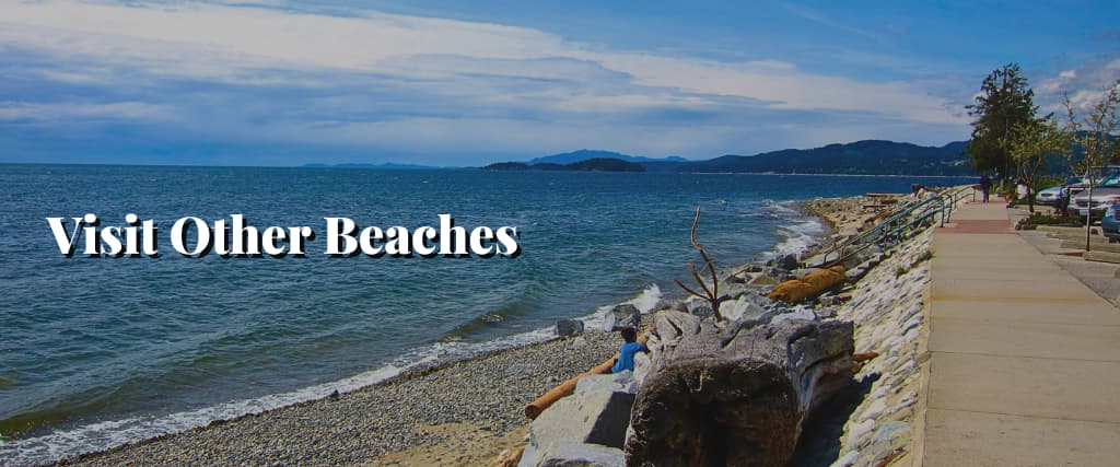 Visit Other Beaches