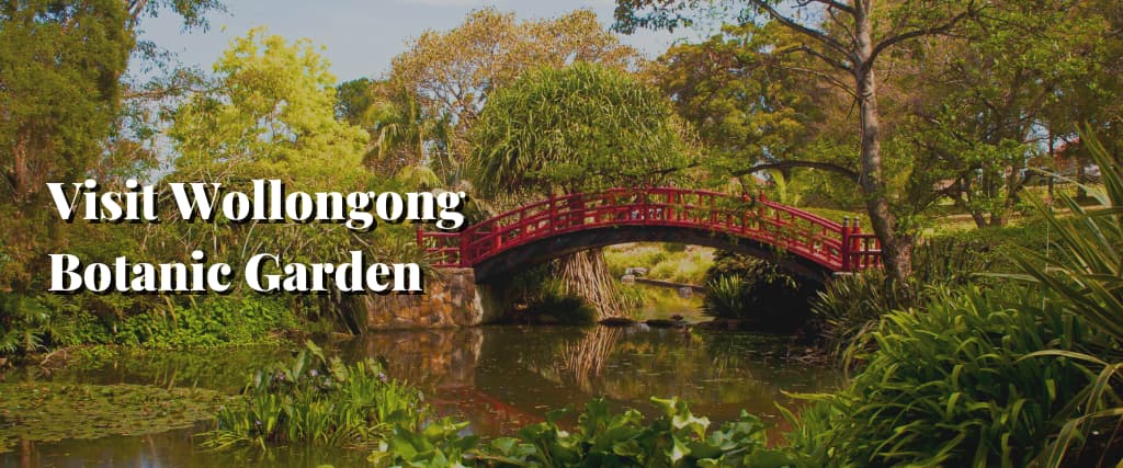 Visit Wollongong Botanic Garden