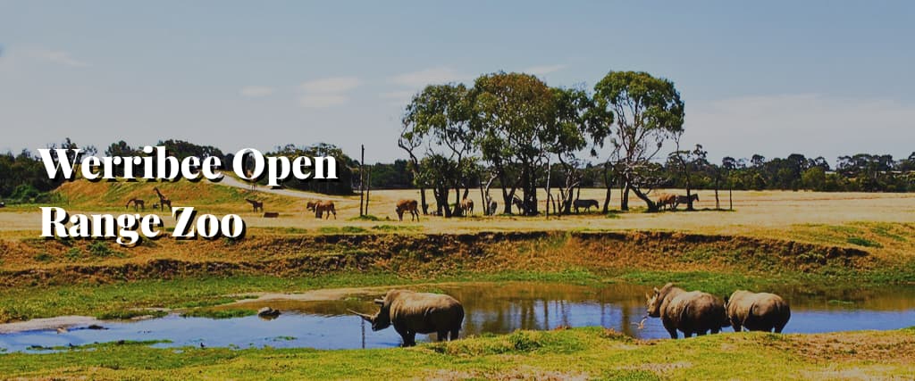 Werribee Open Range Zoo