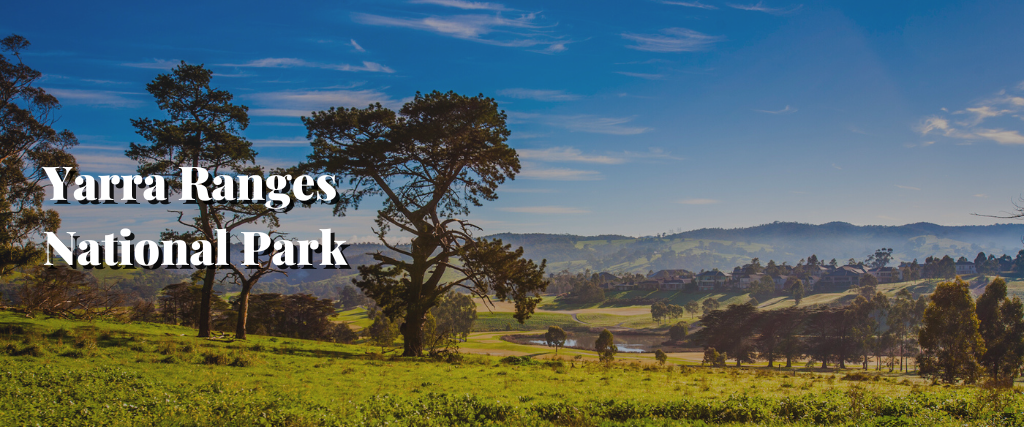 Yarra Ranges National Park