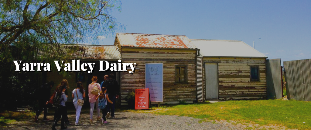 Yarra Valley Dairy