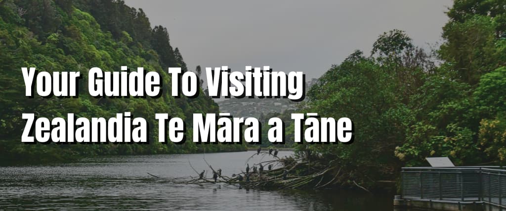 Your Guide To Visiting Zealandia Te Māra a Tāne