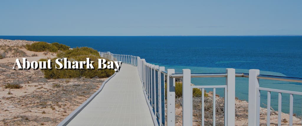 About Shark Bay