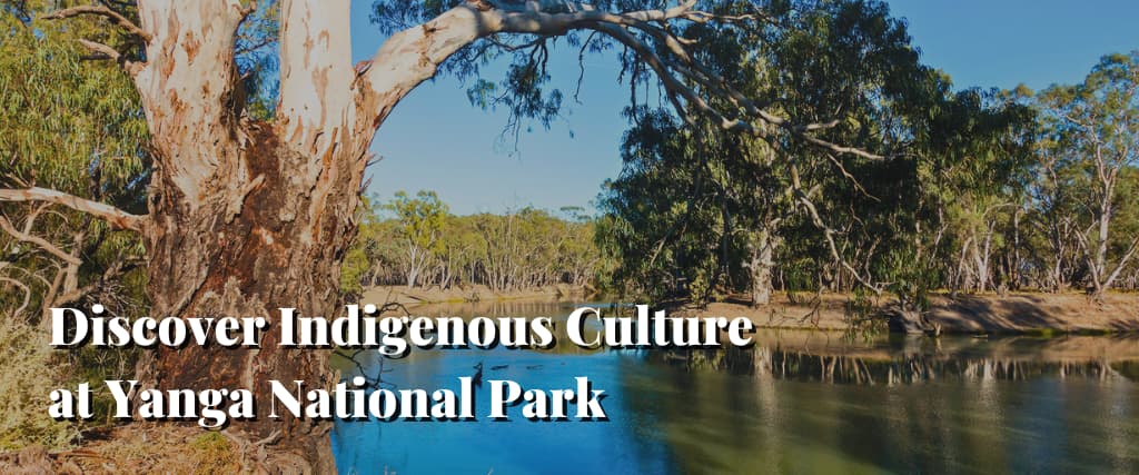 Discover Indigenous Culture at Yanga National Park