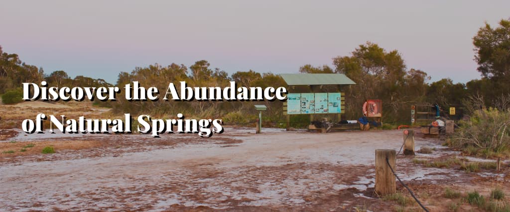 Discover the Abundance of Natural Springs