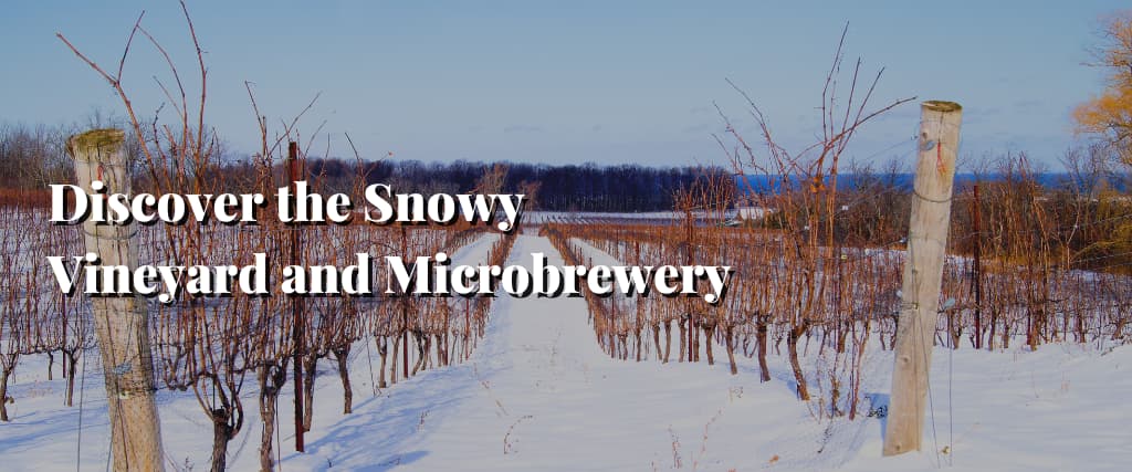 Discover the Snowy Vineyard and Microbrewery