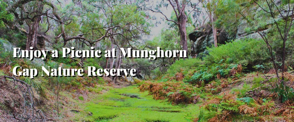 Enjoy a Picnic at Munghorn Gap Nature Reserve
