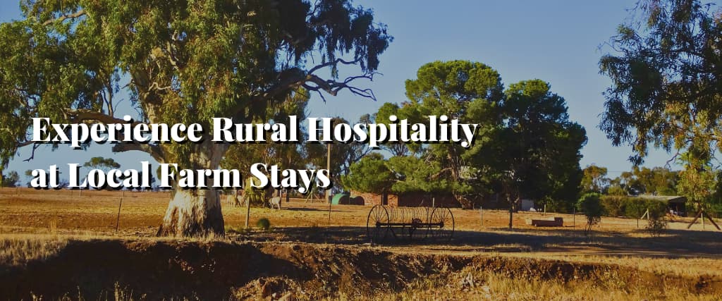 Experience Rural Hospitality at Local Farm Stays