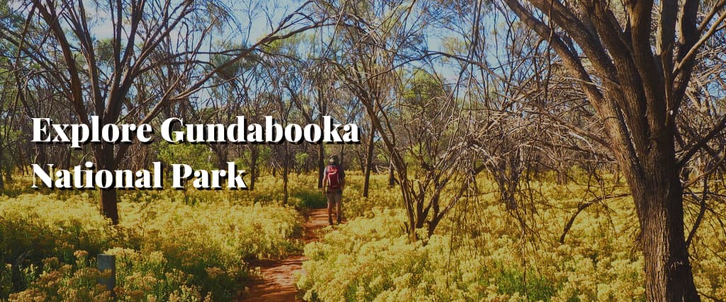 Explore Gundabooka National Park