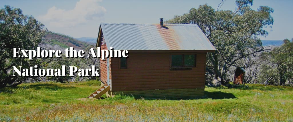 Explore the Alpine National Park