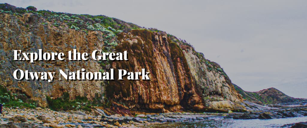 Explore the Great Otway National Park